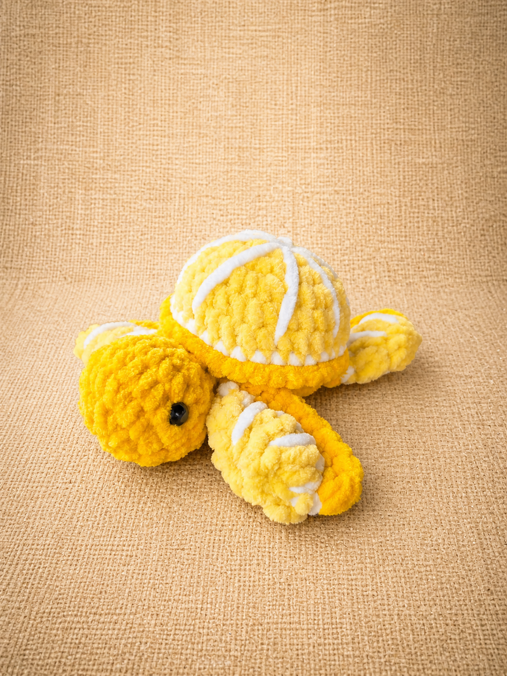 Tortue-fruit