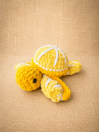 Tortue-fruit