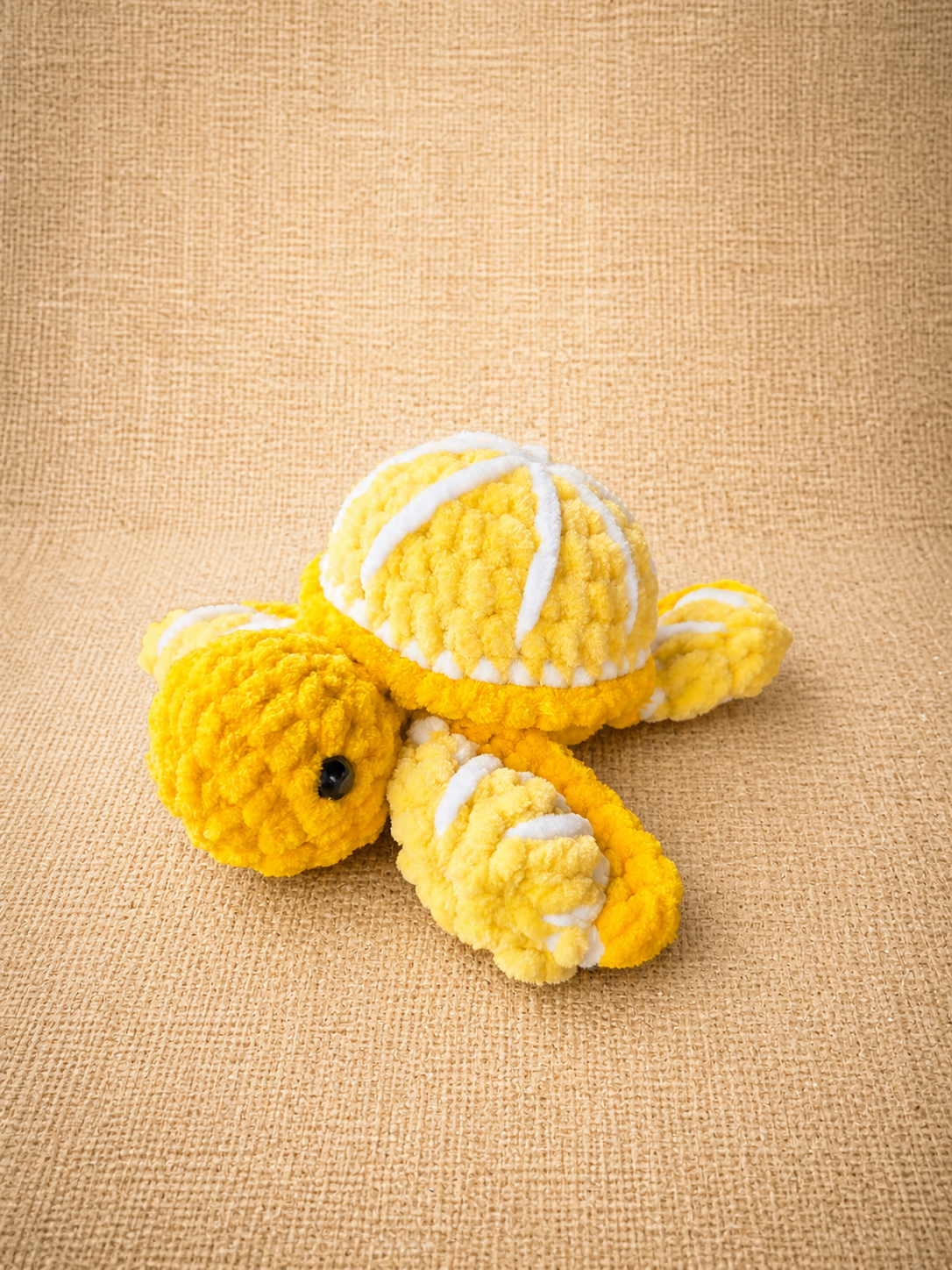 Tortue-fruit