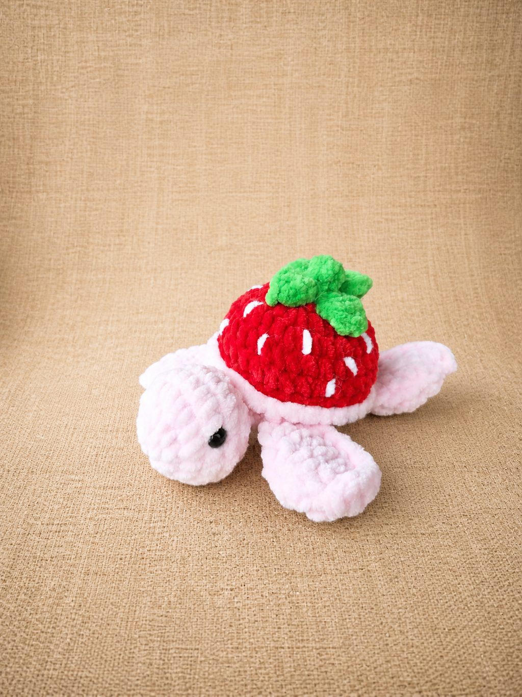 Tortue-fruit