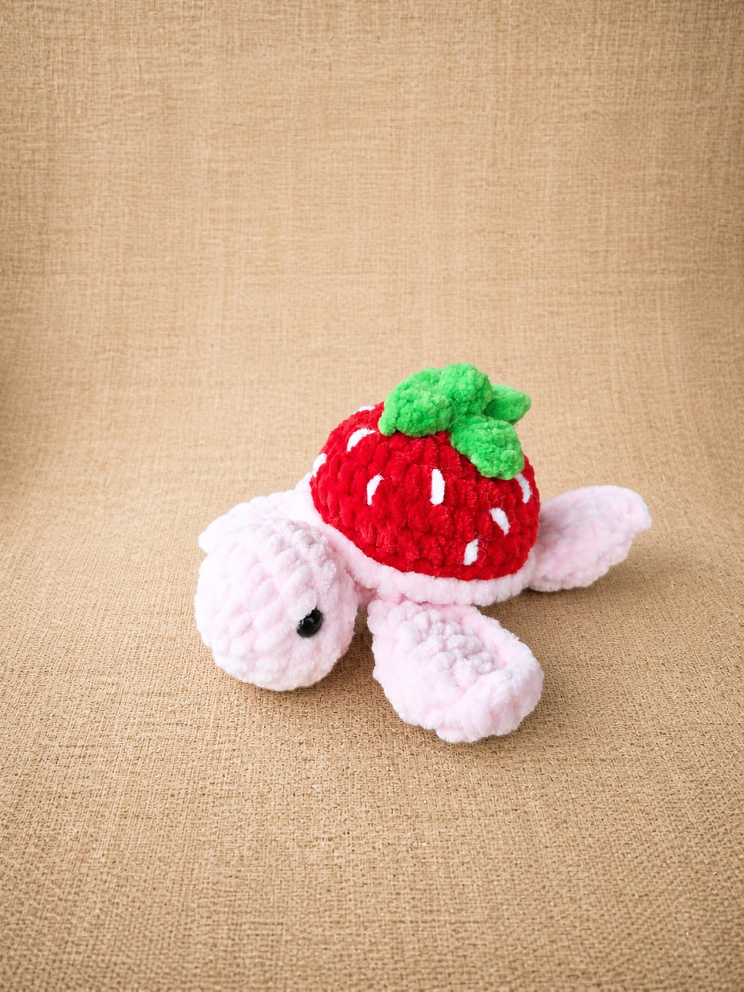 Tortue-fruit