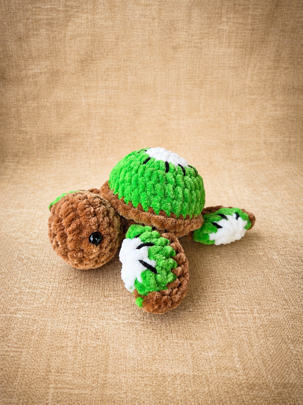 Tortue-fruit