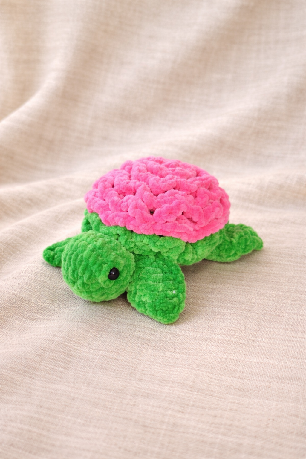 Tortue-fleur