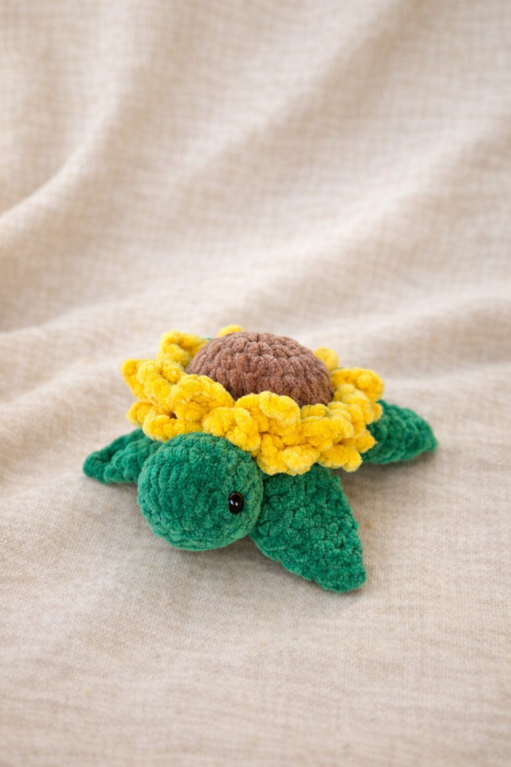 Tortue-fleur