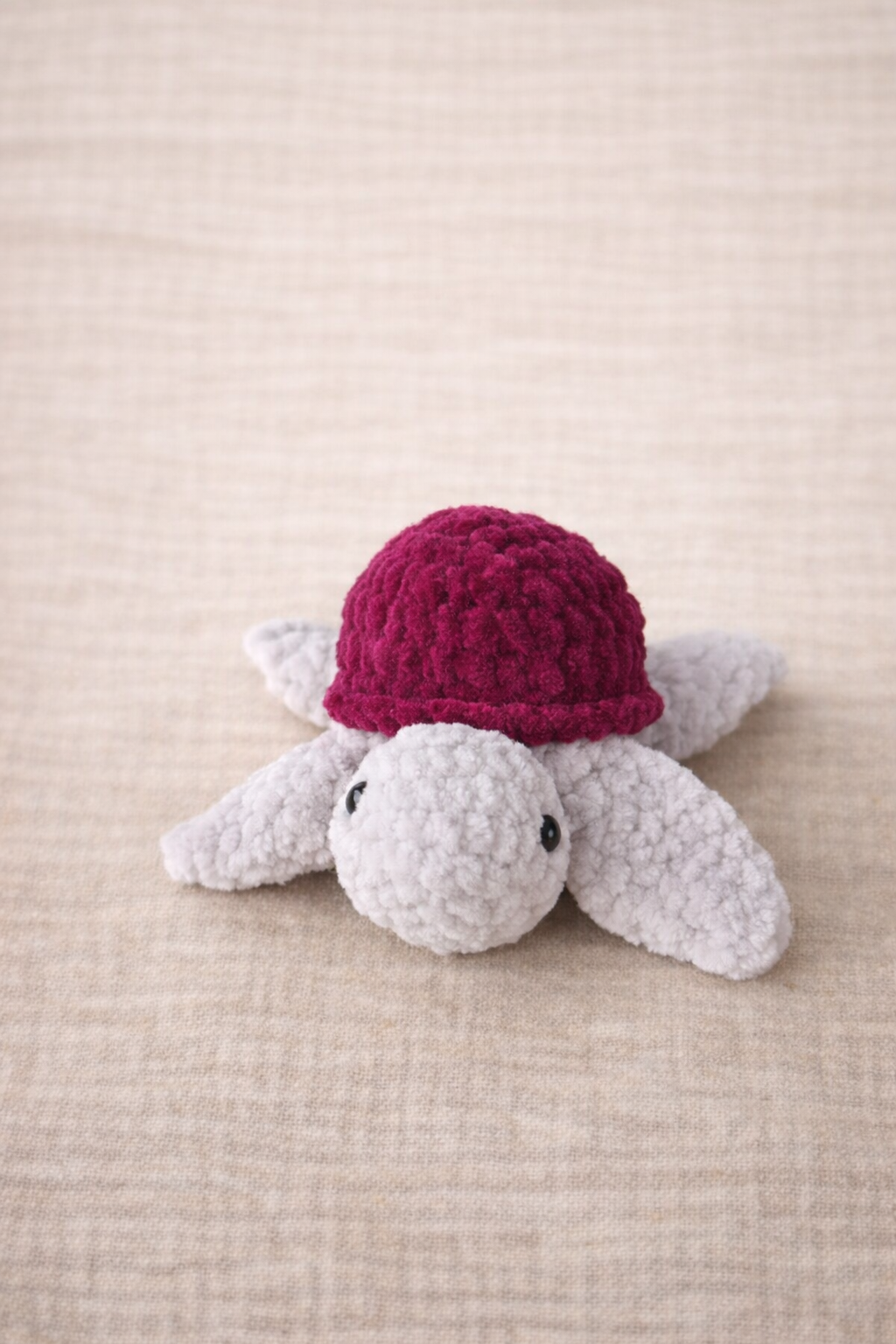 Tortue