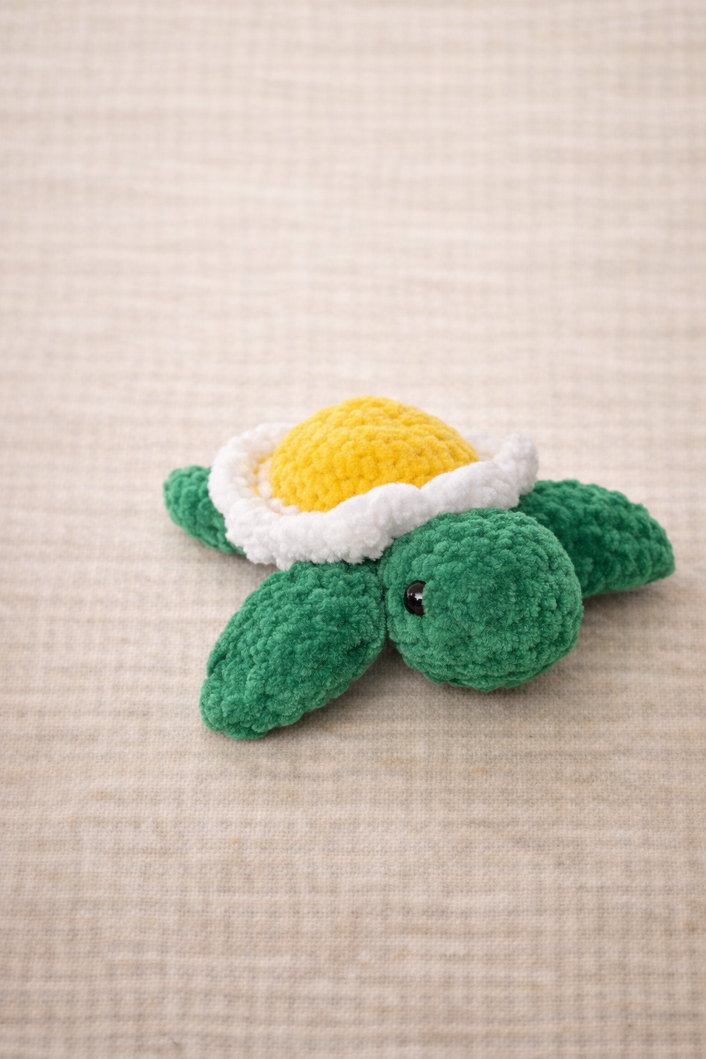 Tortue-fleur